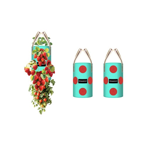 Pack hanging strawberry - 3,
